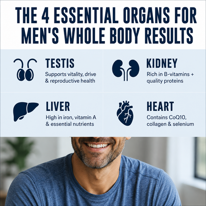 Noréva Organ Capsules